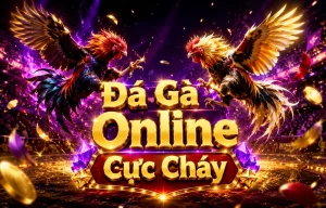 Giao diện đá gà goodgeekgadgets